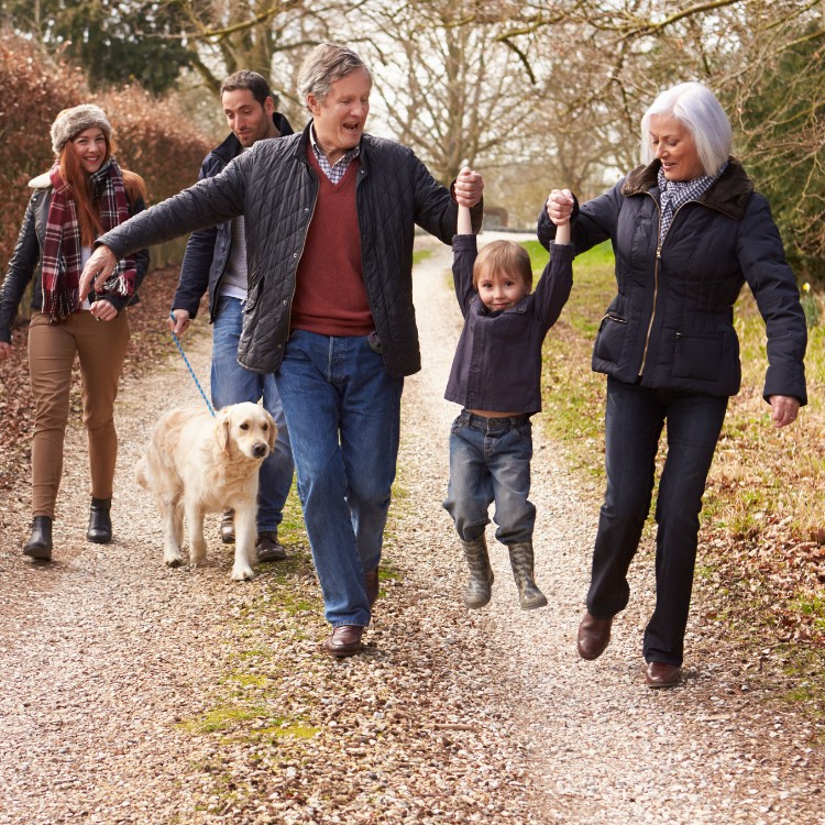 Just another WordPress site